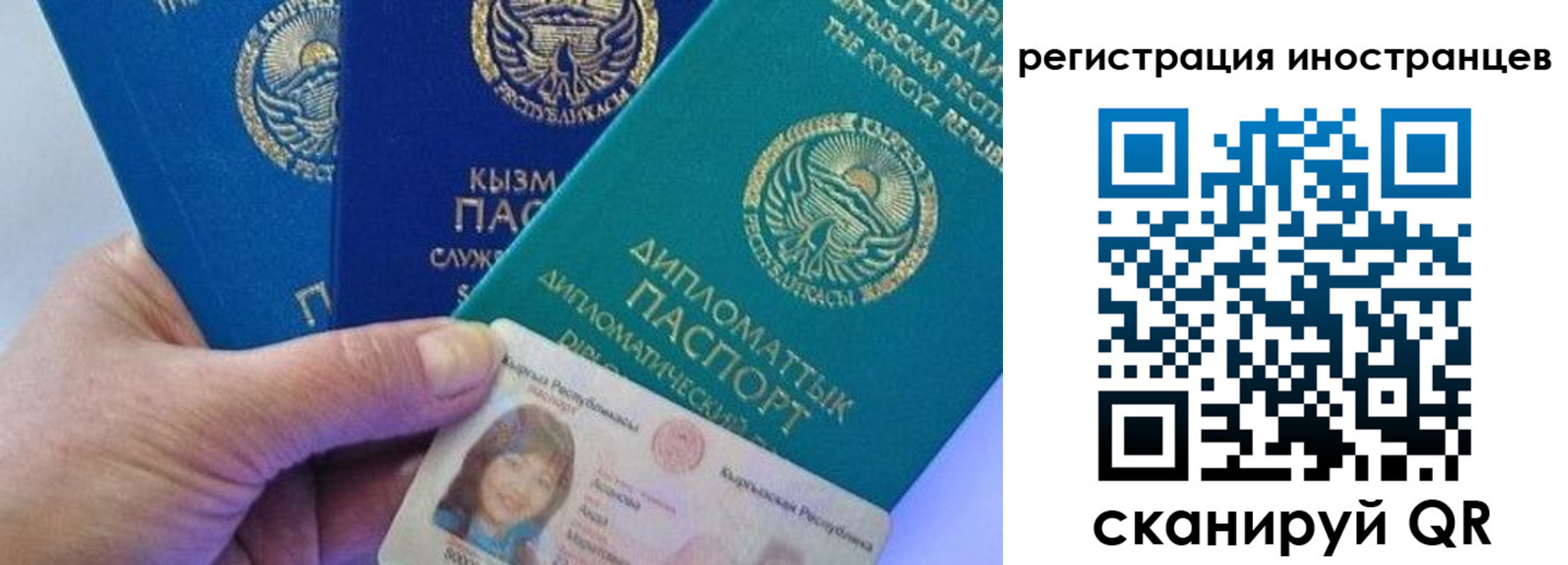 прописка в Ефремове
